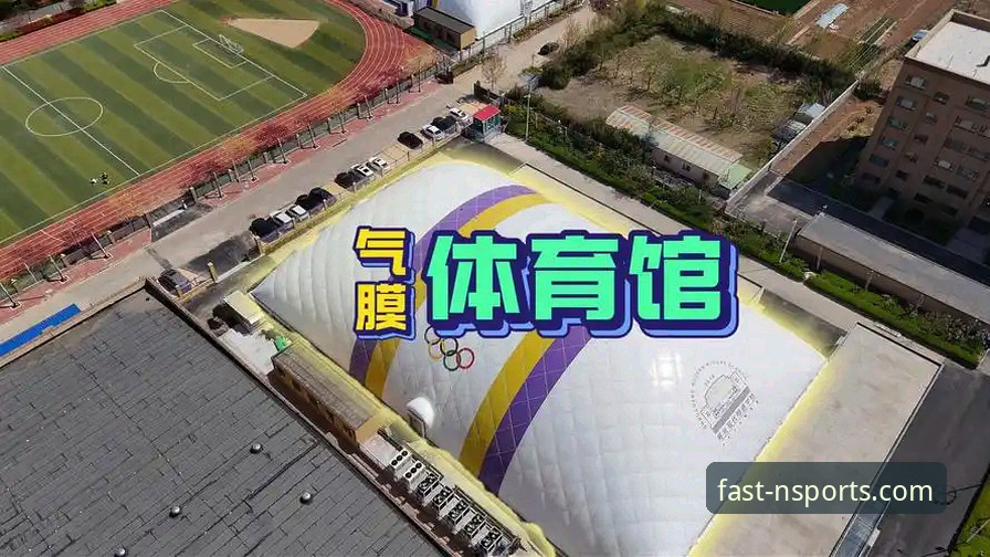 N体育平台下载最新动态：2024年多版本适配方案全面解析