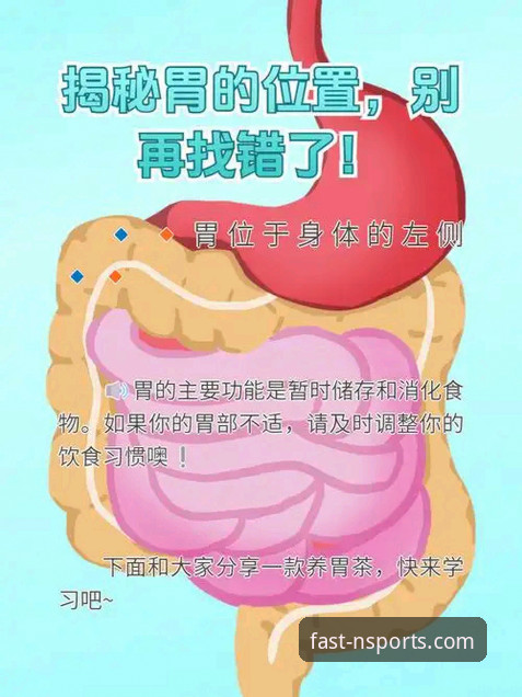 N体育更新下载怎么下载 揭秘N体育更新下载的真相:别再被错误方法耽误了